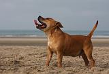 STAFFIE 348